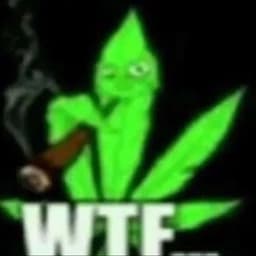 PyyPrOO