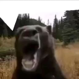 MisterChort