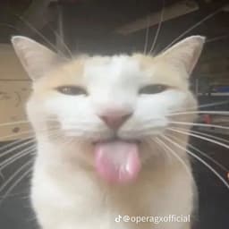 TopSnackk