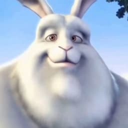 mattresg