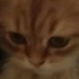 FDGSAHUJ