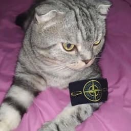VIXREV