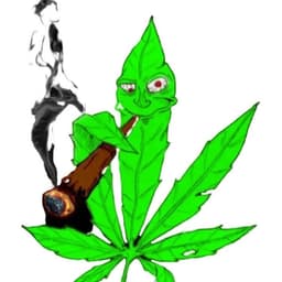 C-GUN420