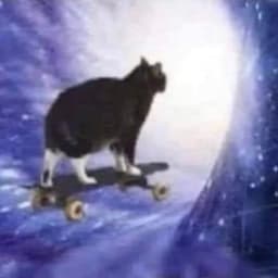 DMT4U