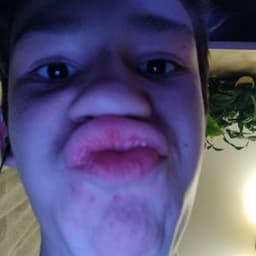shfer