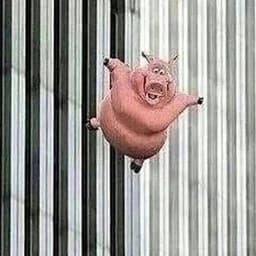 BigFatBarken