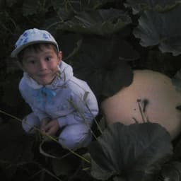 MkBlackberry