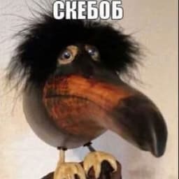 semeckO