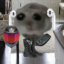 EnderSoundFP