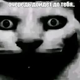 Neoline09