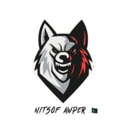 NitsofAwperr