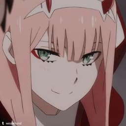 zxc_kuma