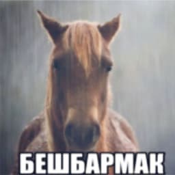 eblangovyaji