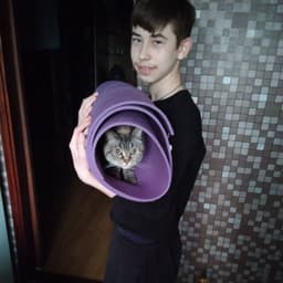 wertysus