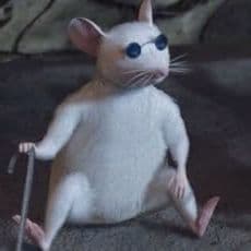 aardvark_6y0