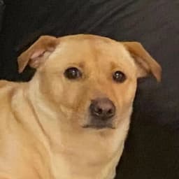 Me_Ro