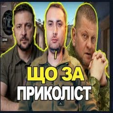 lnsaniT
