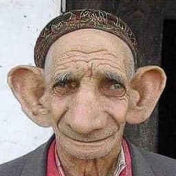 _CIPIRIPI_