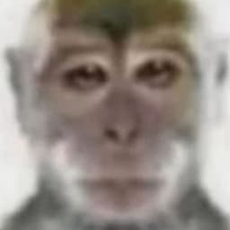 Alfredo_cs
