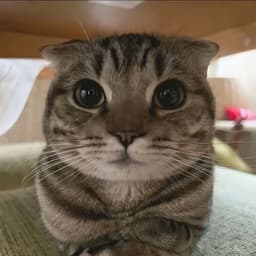 01110010111
