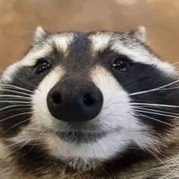 _j_m_
