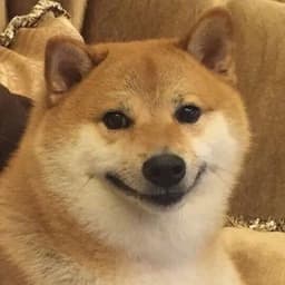 -GOODBOI