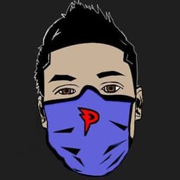 PINNVCLE