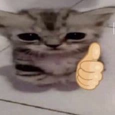 _HeDgEhOh_