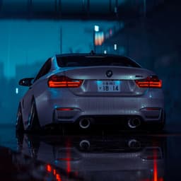 L1cvidator_