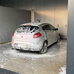 fiatbravo