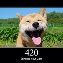 STOFF420