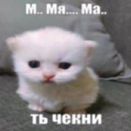 meowmeow1313