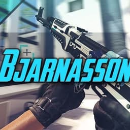 Bjarnasson1