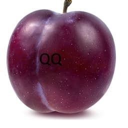 PlumQQ