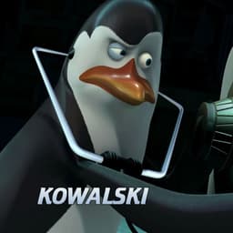 fyfcnfcbz31
