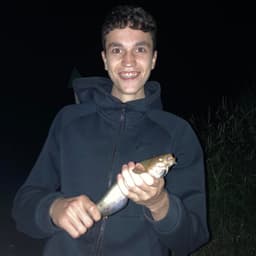 xfelipiarz