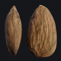 pndms