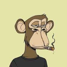 nobrainSalaz