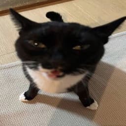 _Sshar1ngan_