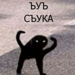 Leo_darkness