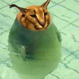 Nosturri