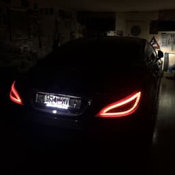 gus_24