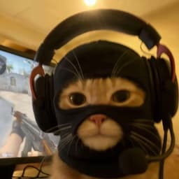 Nervesjr