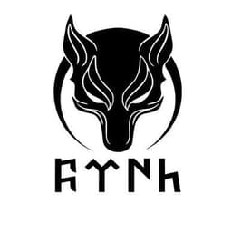 RaytinqeNN