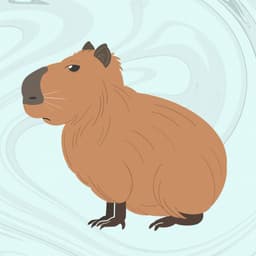 Capybara1337