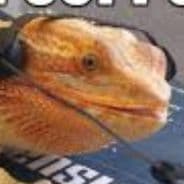 Finlizard