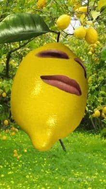 LEMONGUyy