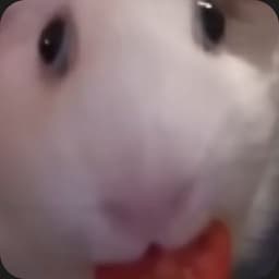 Gattsteroff