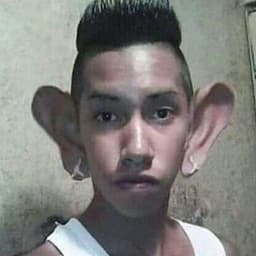 bruhap