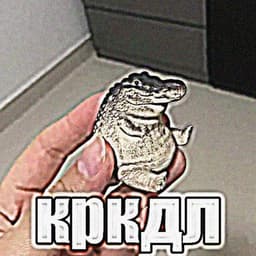 binboybarsik